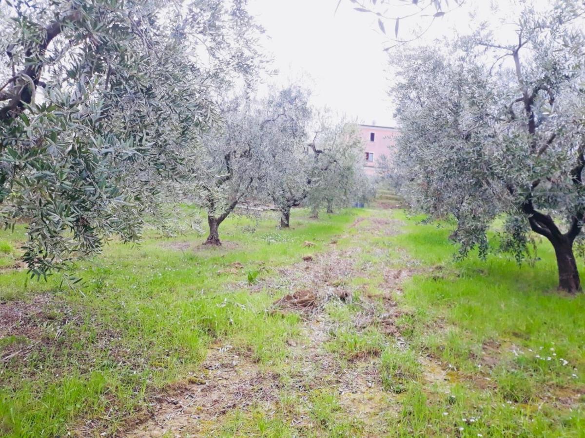 Ellebi B&B Montone  Bagian luar foto